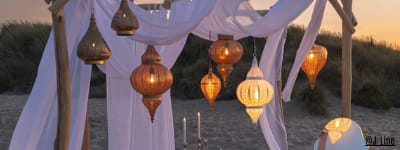  Luminaire